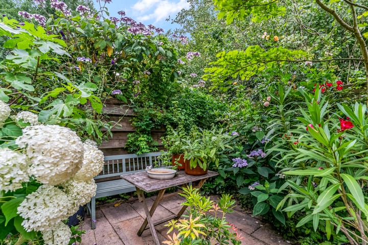 Foto 39 van Dalmatië 78