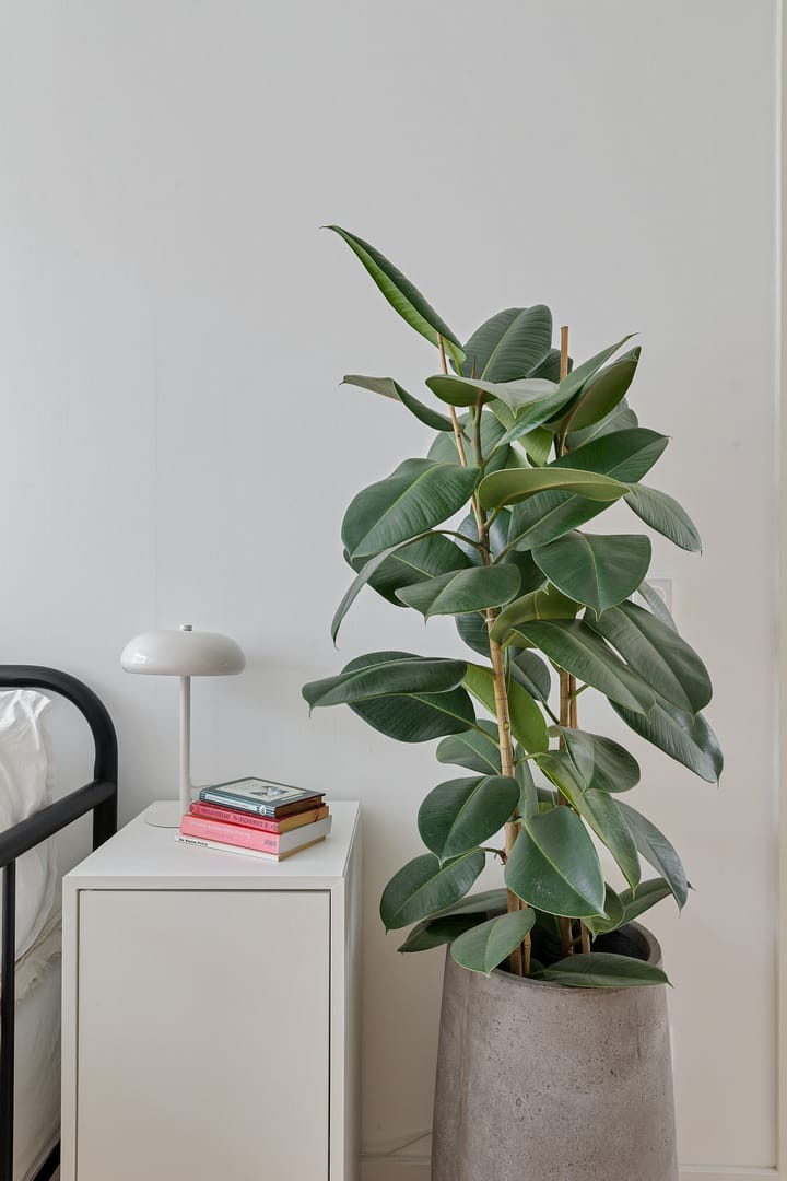 Foto 25 van Bandoengstraat 15