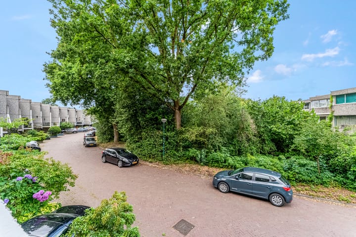 Foto 49 van Dalmatië 78