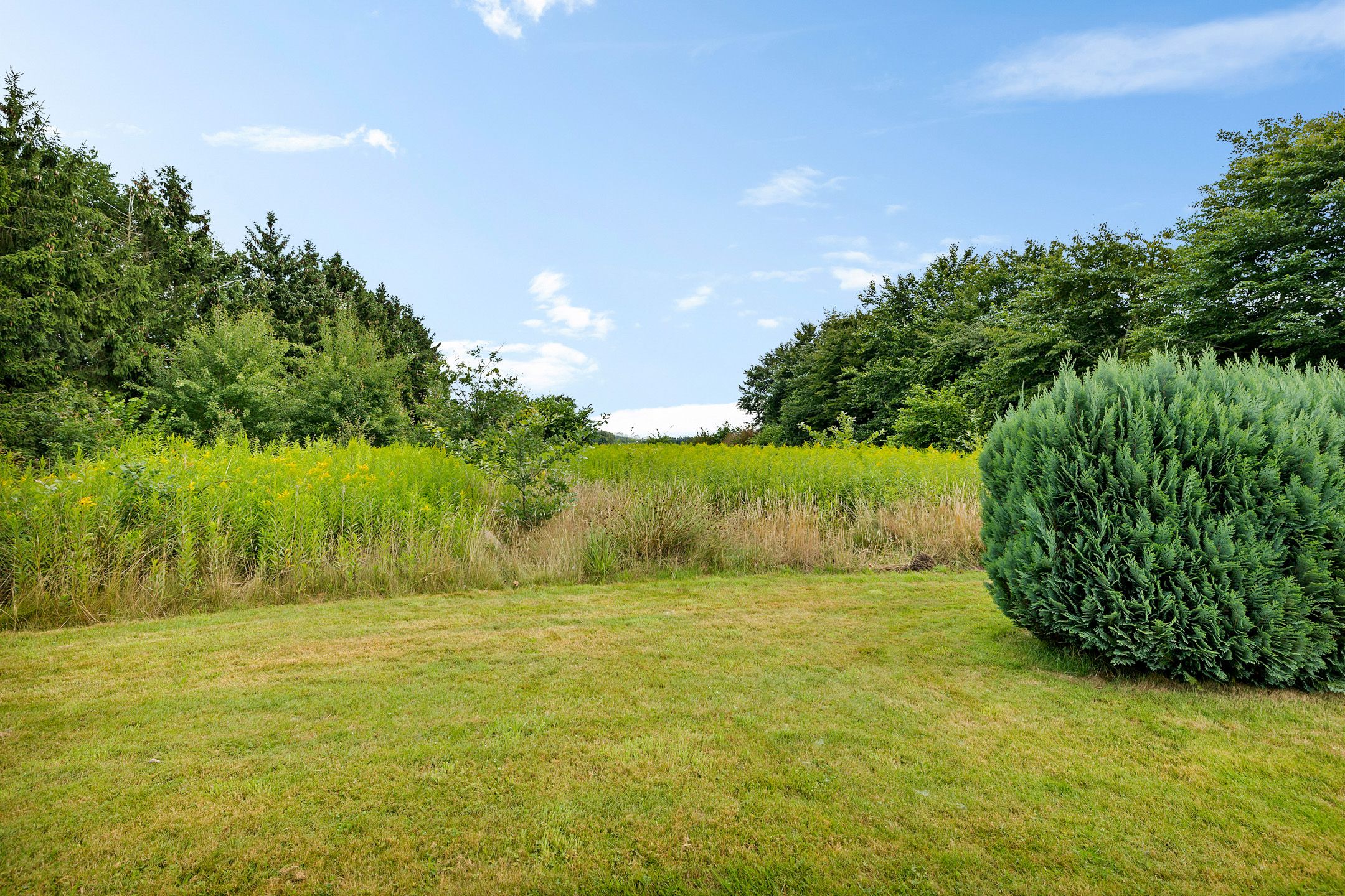 Photo 39 of Sint Gerardusstraat 236