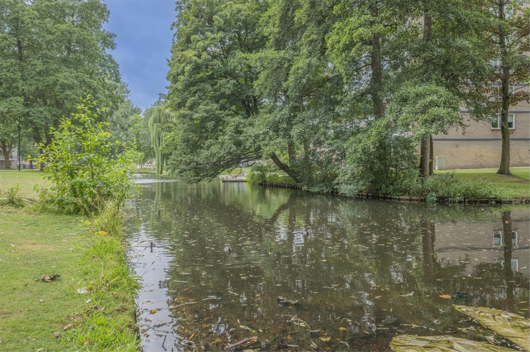 Foto 32 van Bachplein 271