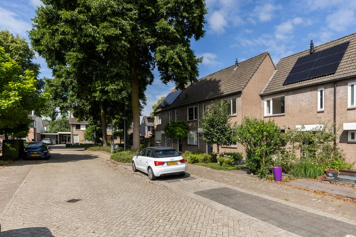 Foto 4 van Sterappel 8