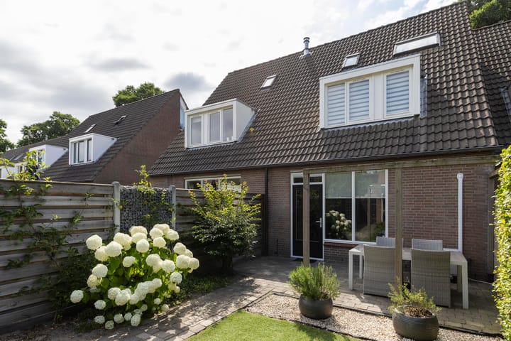 Foto 7 van Sterappel 8