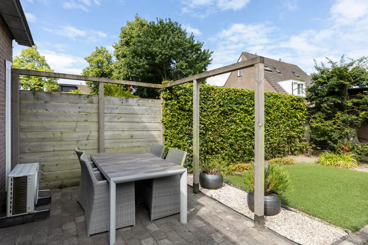 Foto 8 van Sterappel 8