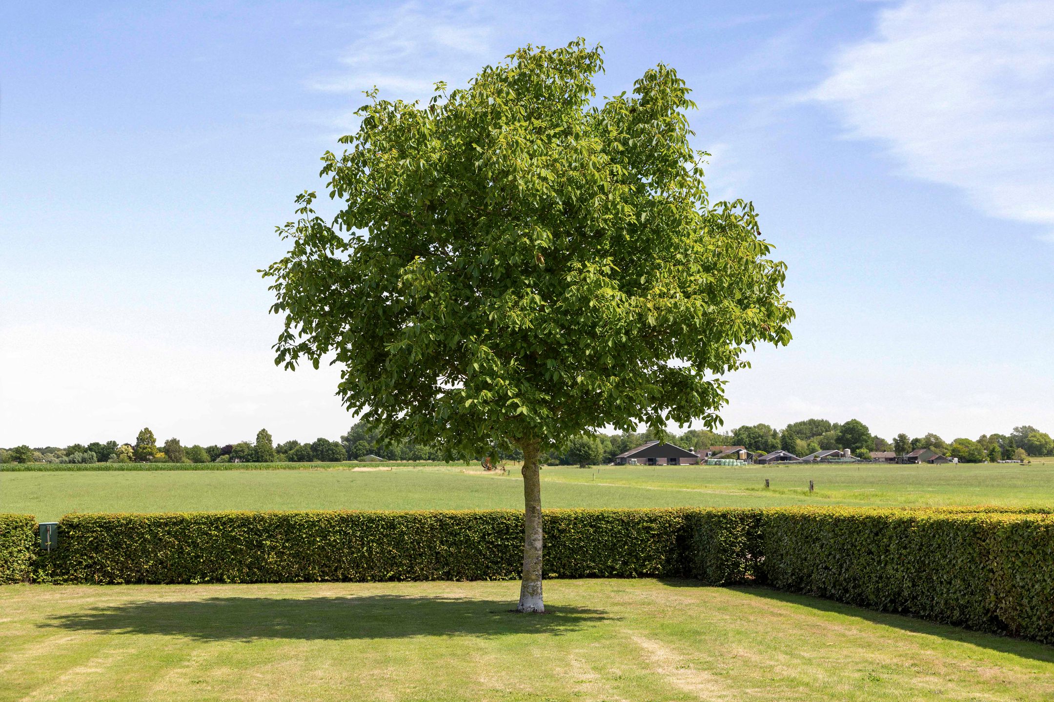 Foto 45 van Ossenkolkweg 1