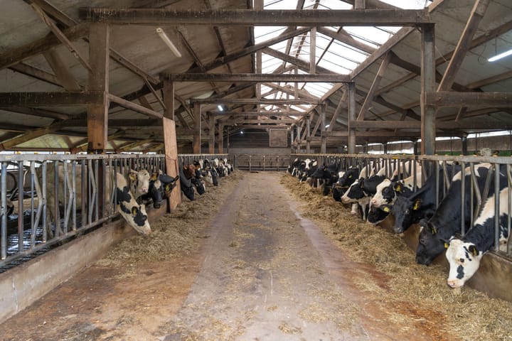 Foto 22 van Langendijksestraat 5