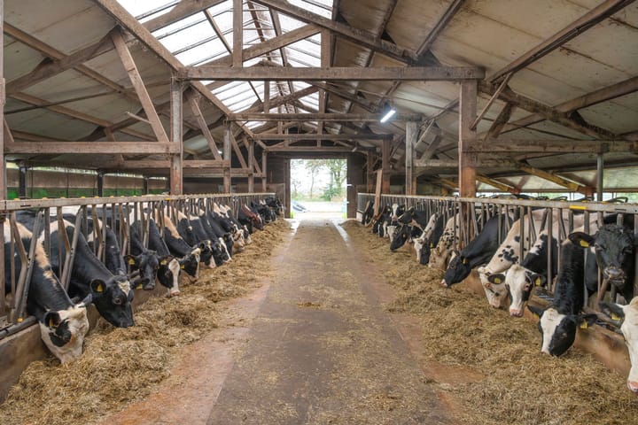 Foto 23 van Langendijksestraat 5