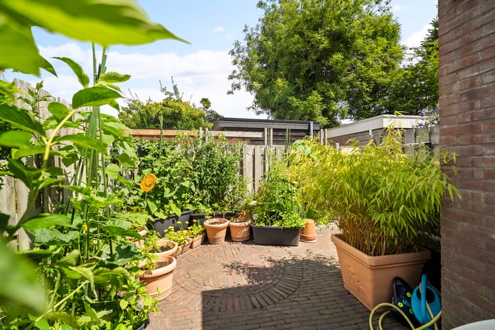 Foto 13 van Soembastraat 63