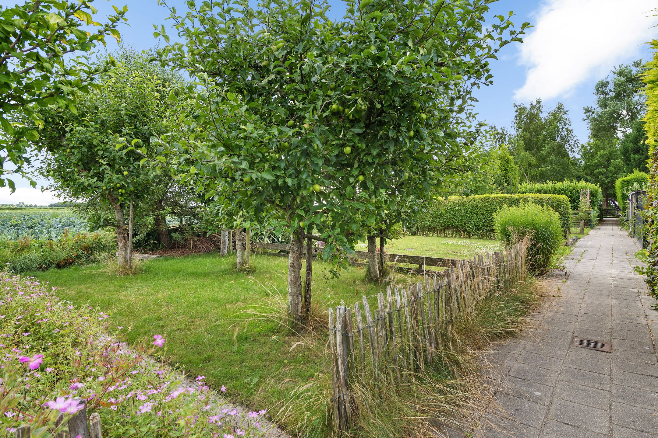 Foto 33 van Pletering 35