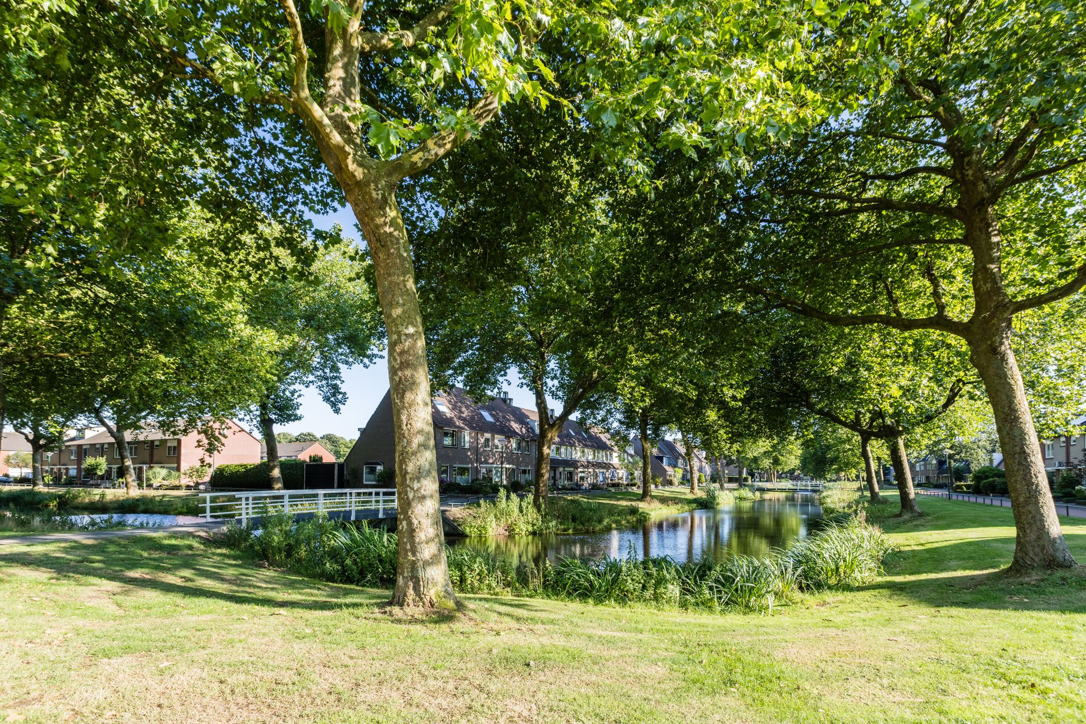 Foto 42 van Leeuwerik 68