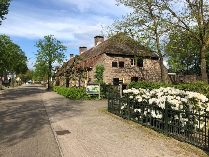 De Dijk 8