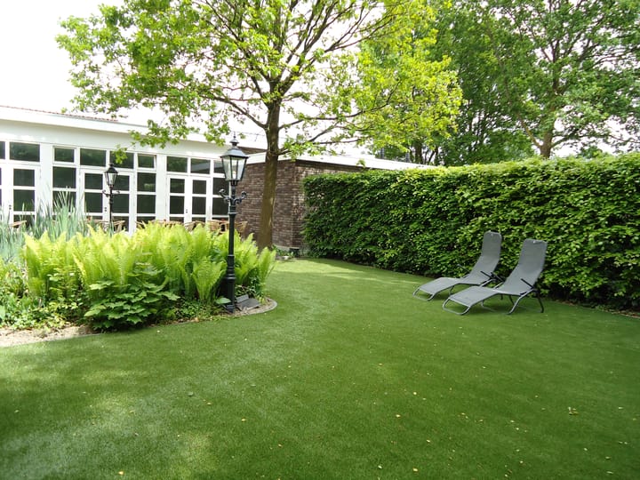 Photo 20 of De Dijk 8