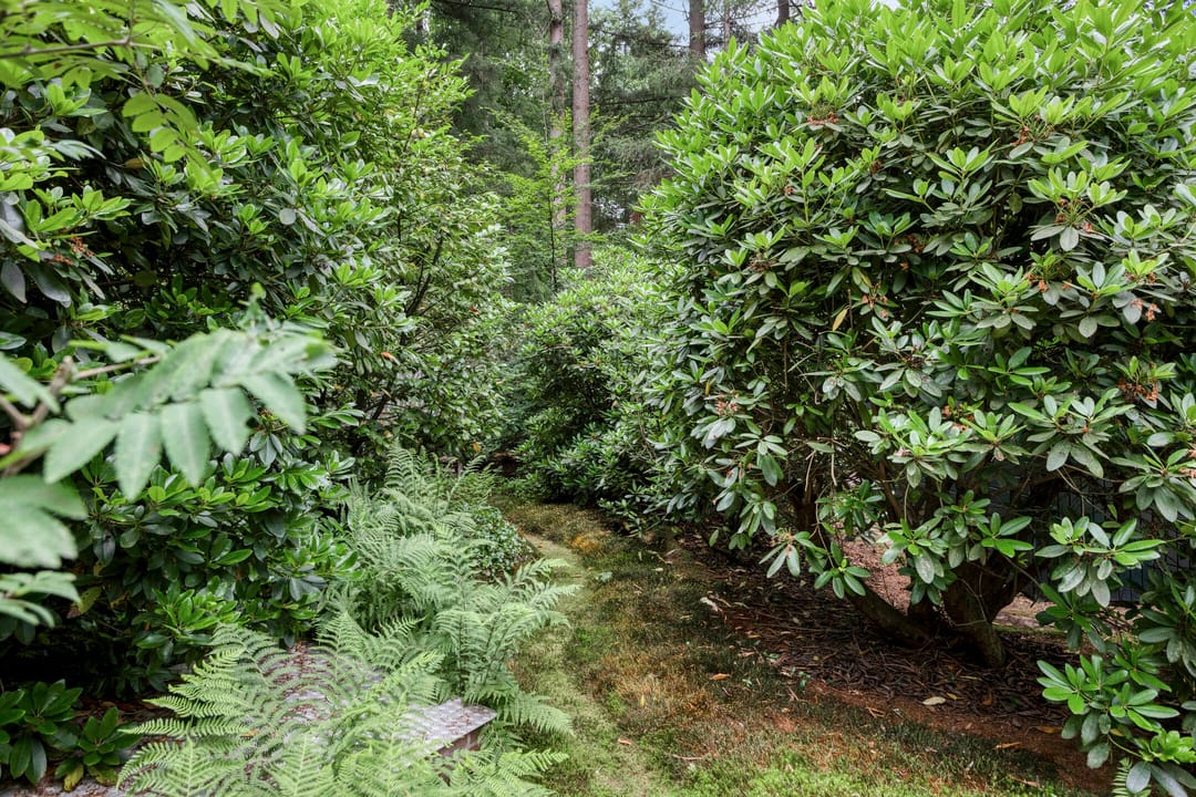 Photo 32 of Lariksweg 12