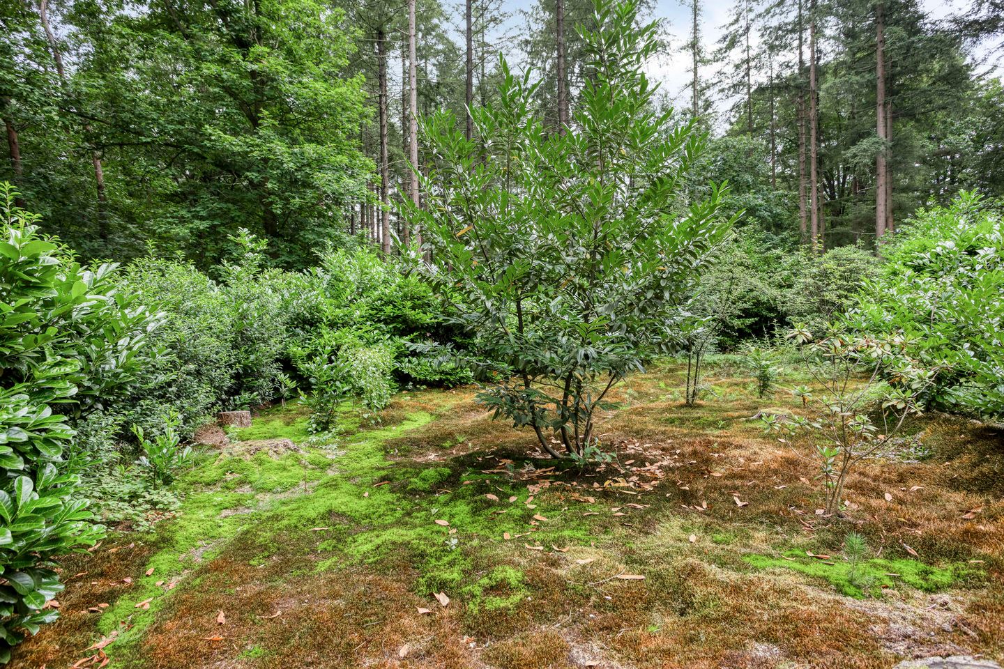 Photo 34 of Lariksweg 12