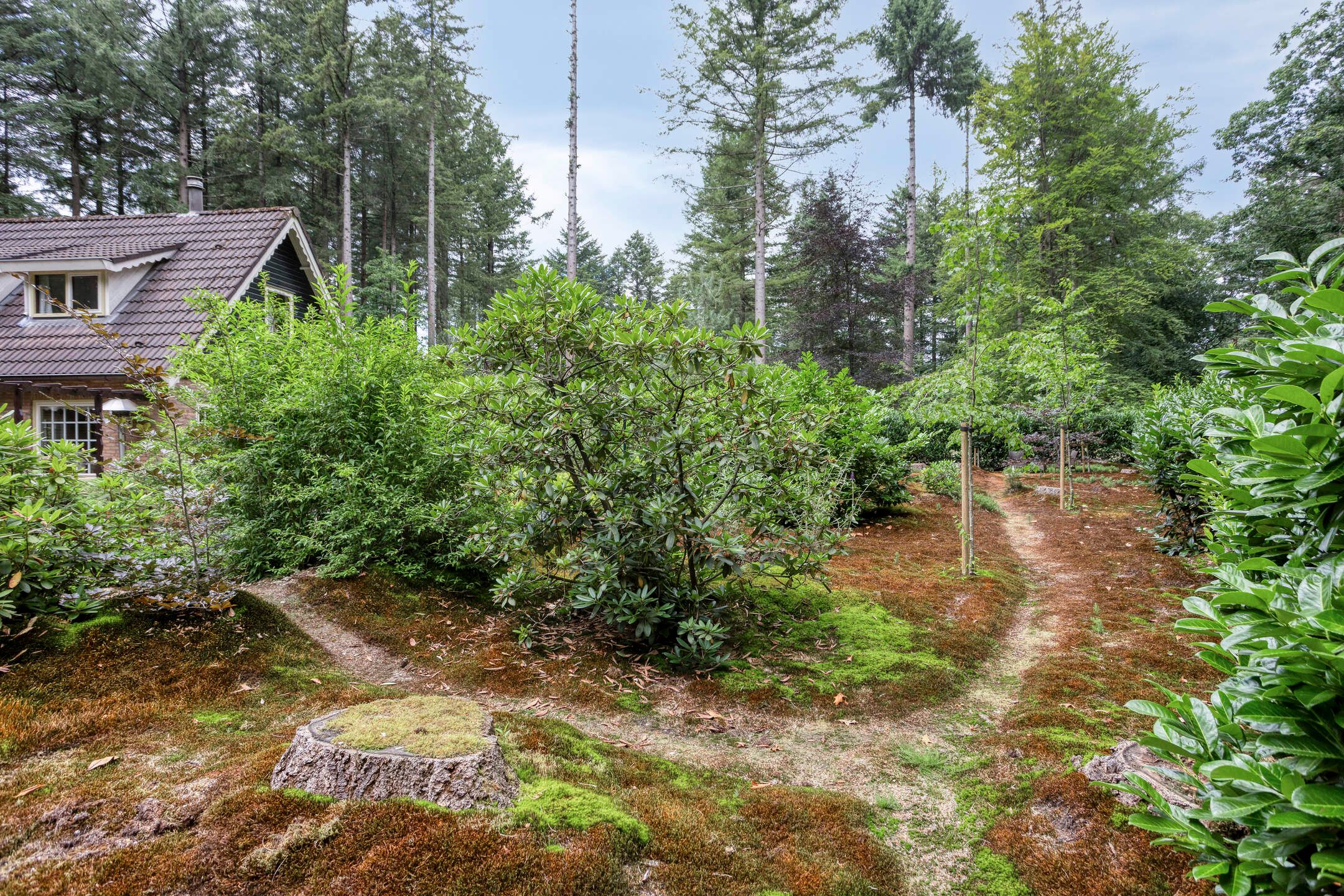 Photo 36 of Lariksweg 12