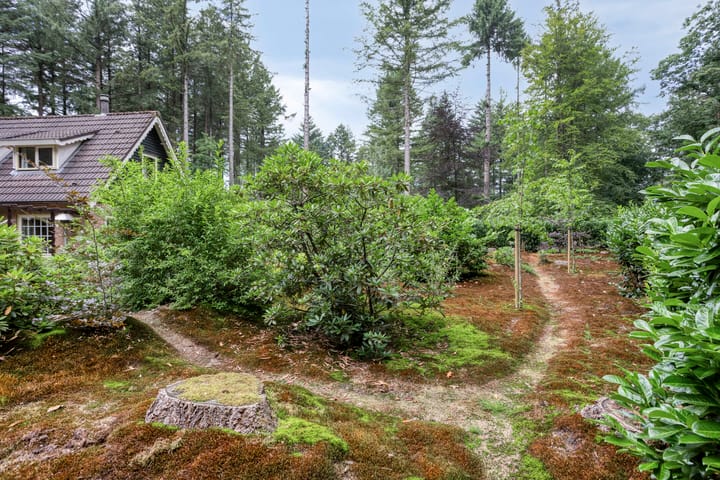 Foto 36 van Lariksweg 12