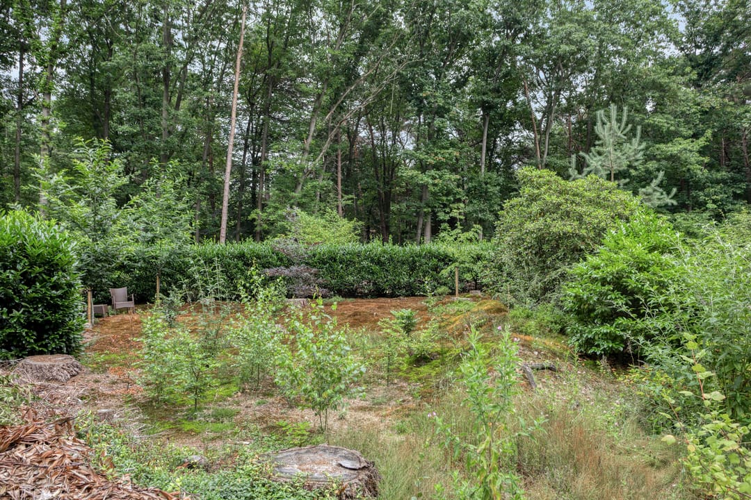 Photo 38 of Lariksweg 12