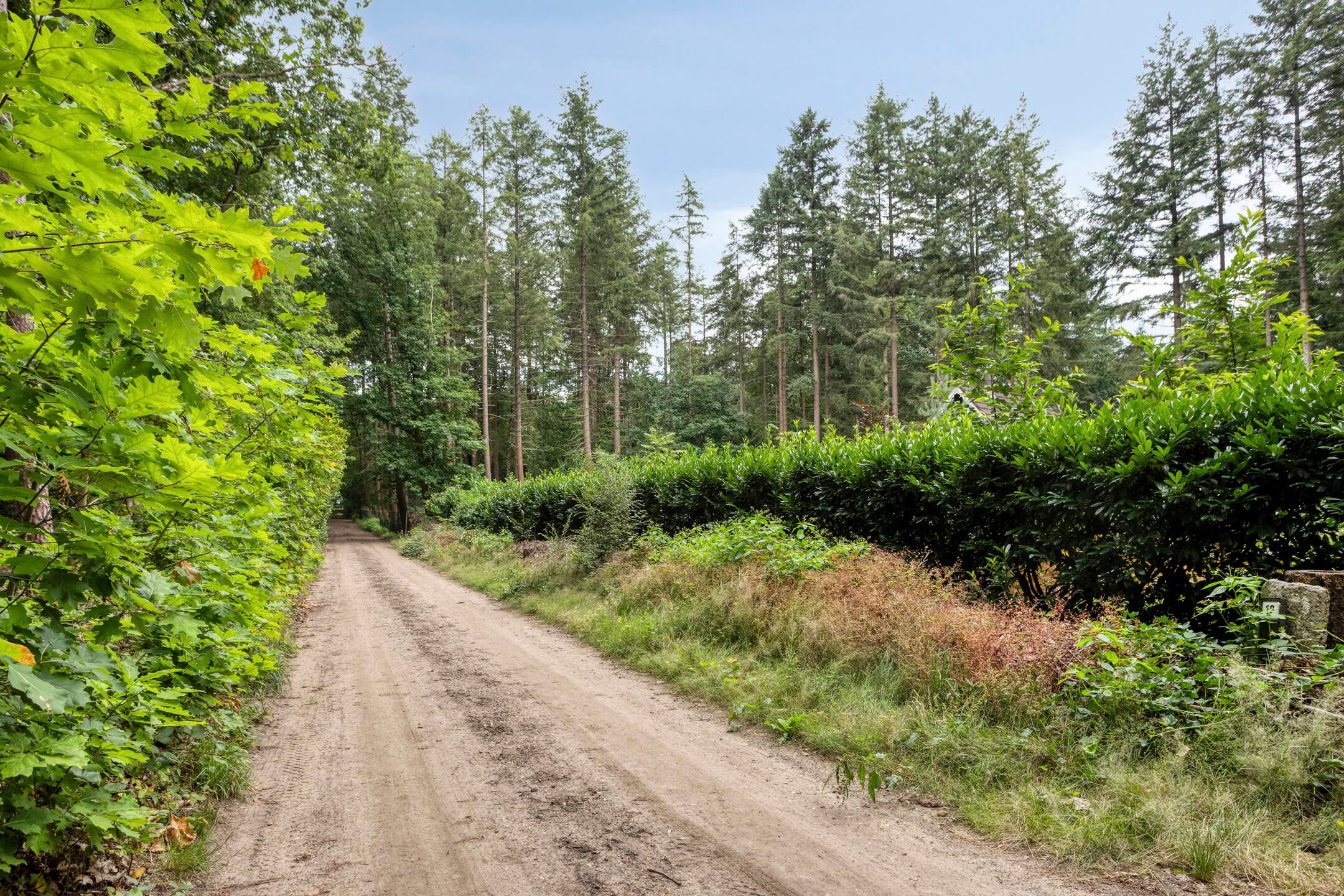 Photo 39 of Lariksweg 12