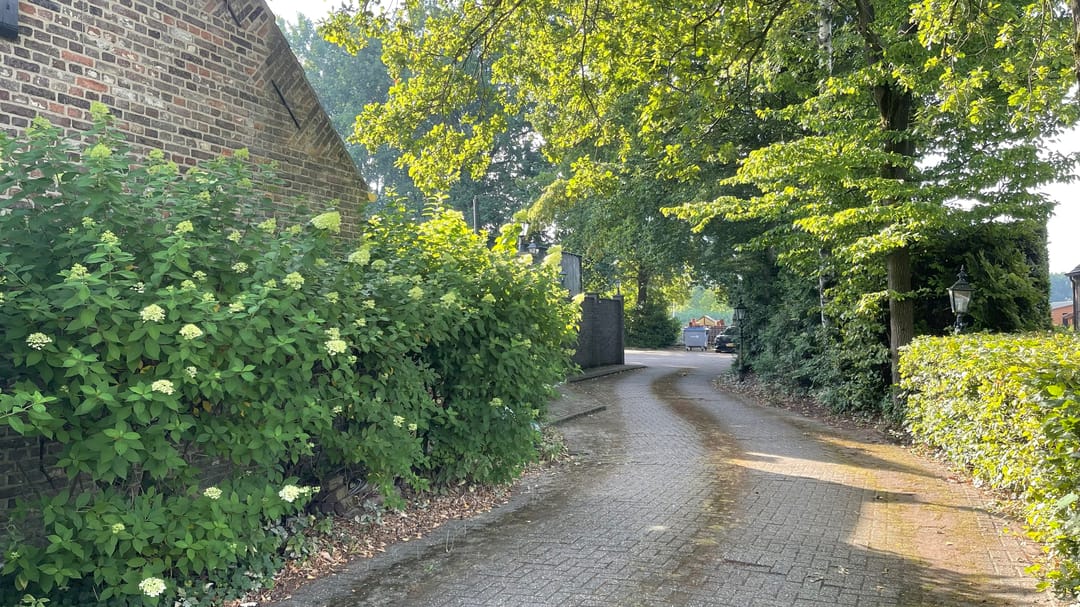 Foto 32 van De Dijk 8