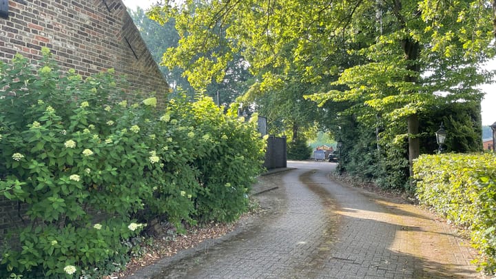 Photo 32 of De Dijk 8