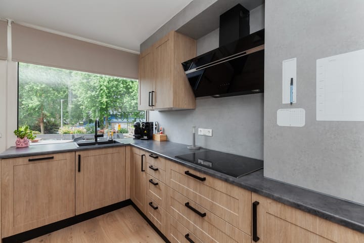 Photo 3 of Johan Willem Frisolaan 8