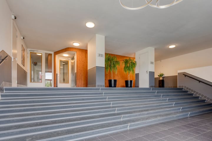 Photo 3 of Osdorper Ban 573