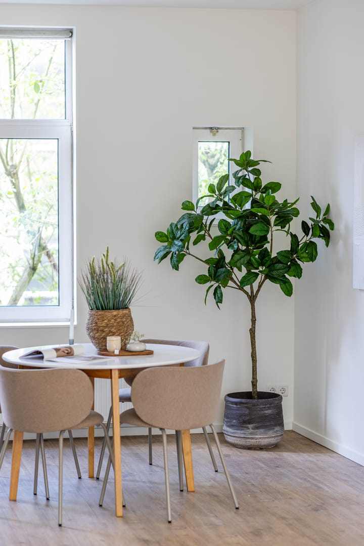 Foto 10 van Drievriendendwarsstraat 11-B