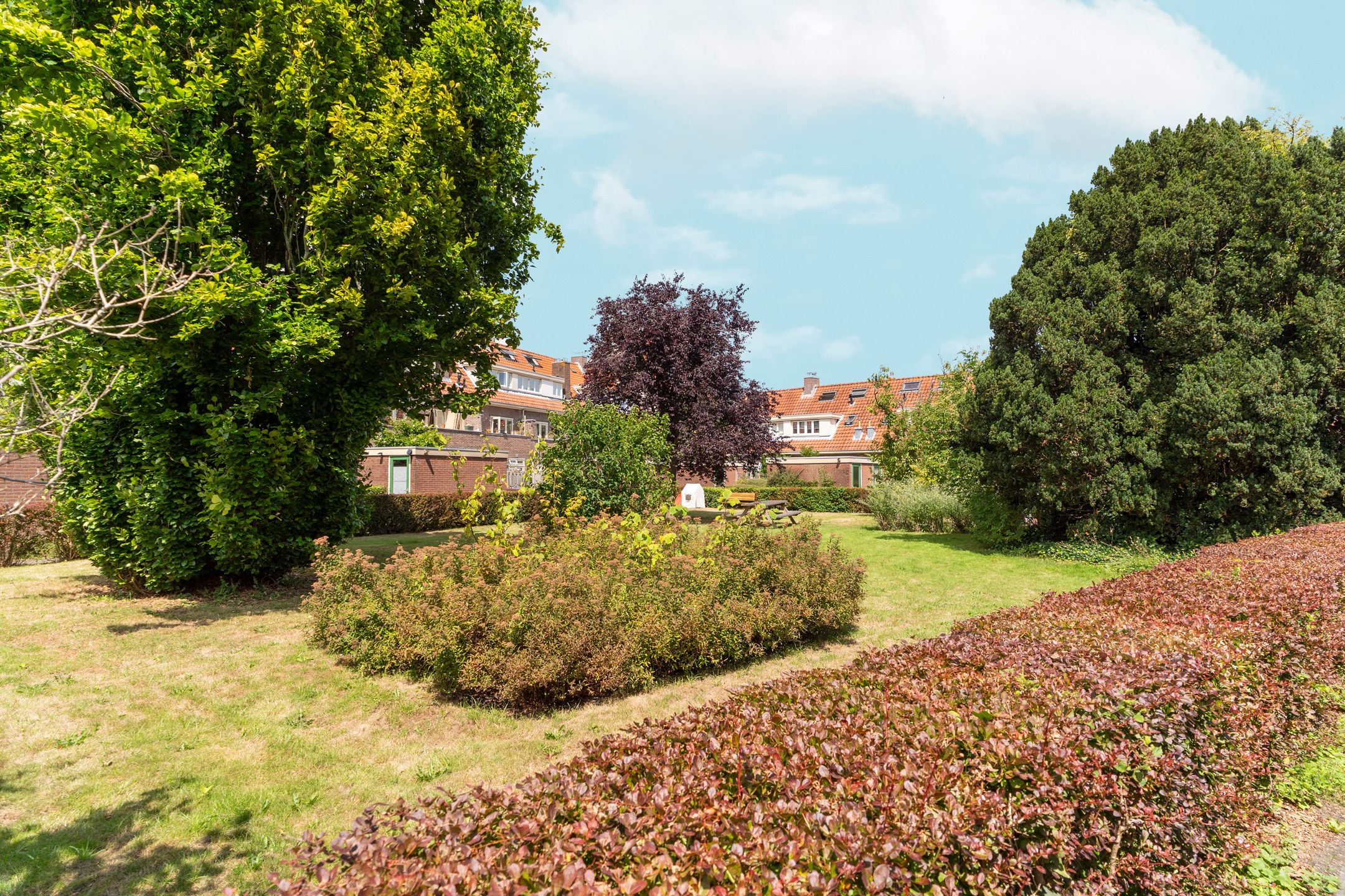 Foto 36 van Veeteeltstraat 70-B