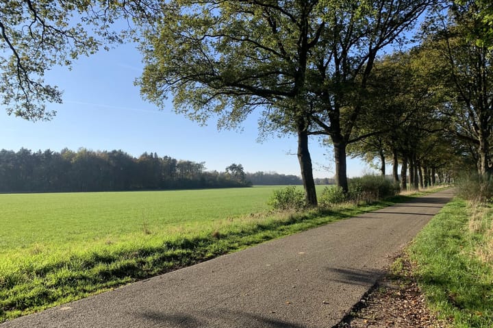 Photo 14 of Bathmenseweg 7-H302