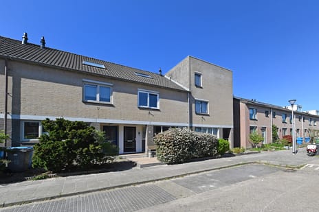 undefined main image