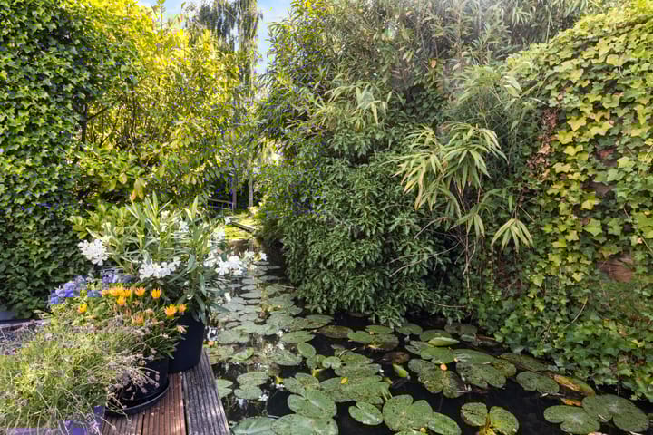 Foto 24 van Kerkweg 12