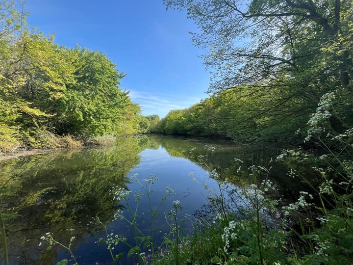 Foto 31 van Noordkerkepad 71