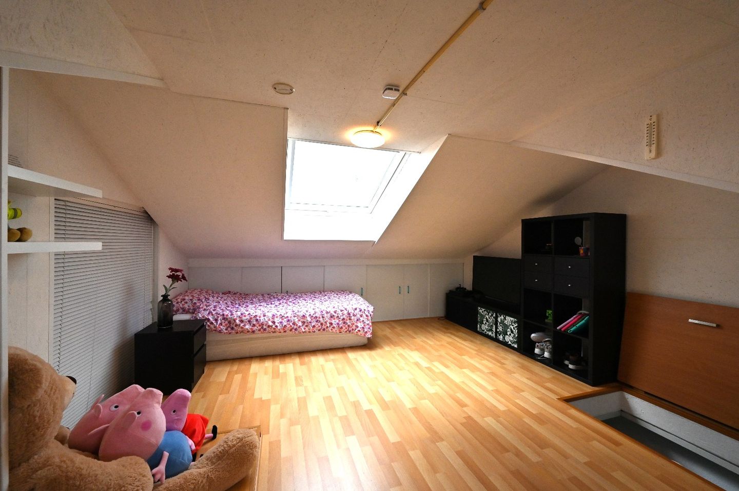 Foto 50 van Adriaen Brouwerstraat 131