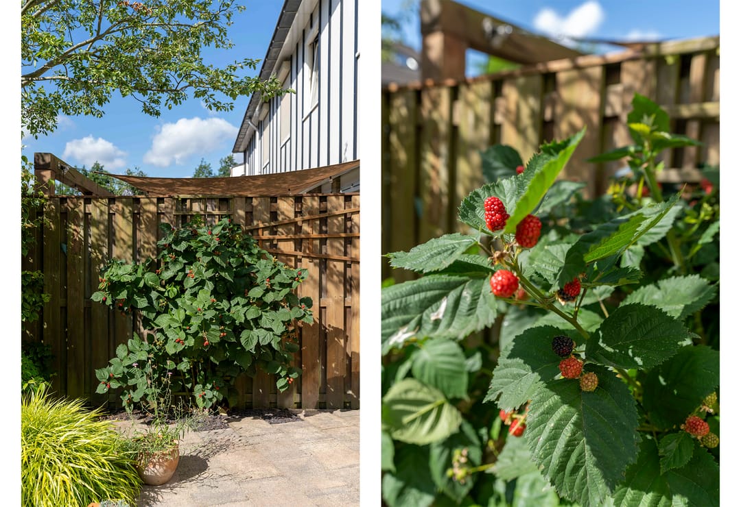 Foto 37 van Nijenrode 149