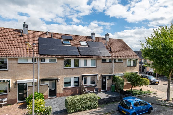 Foto 1 van Kleine Boterbloem 11