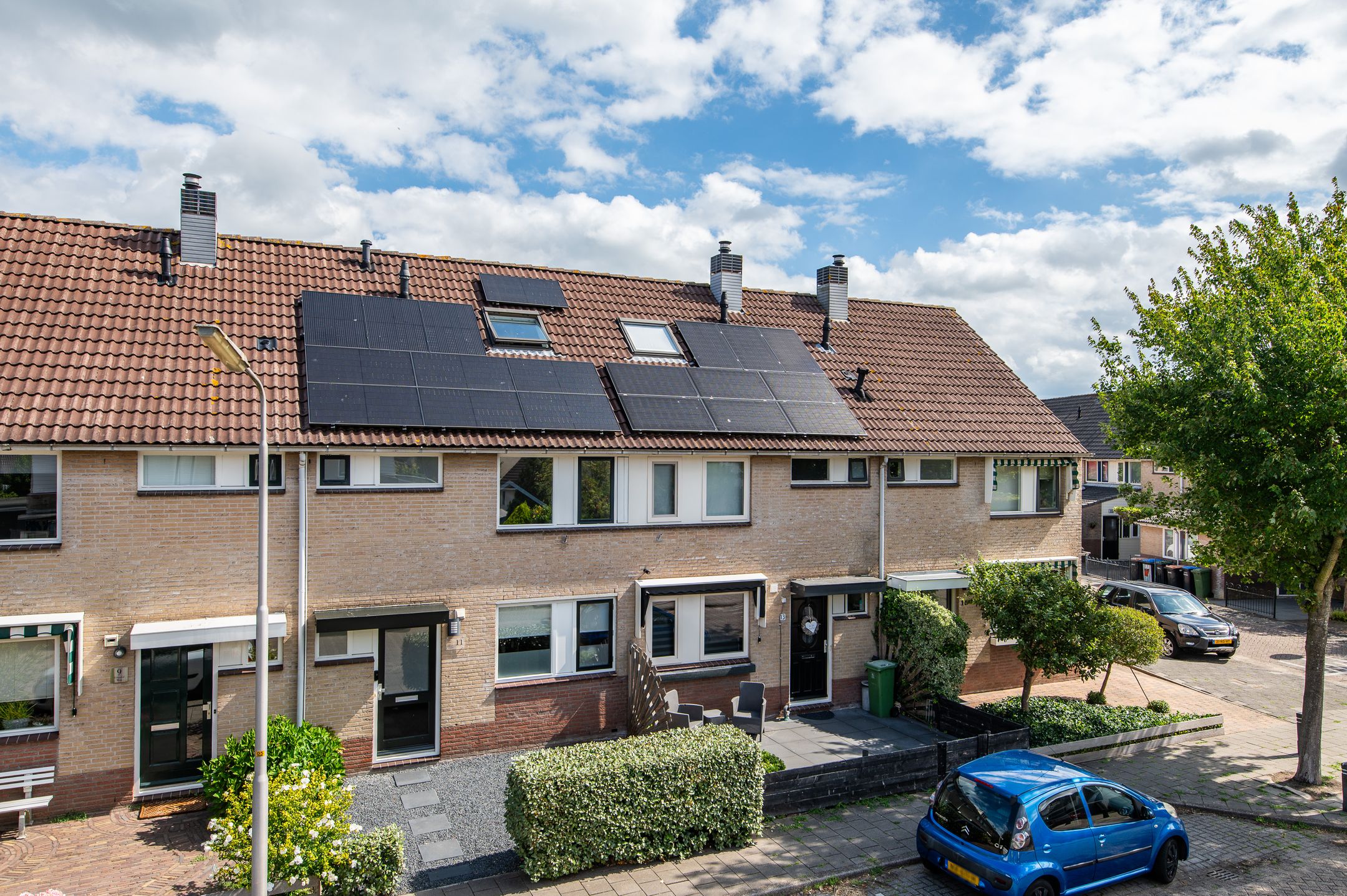 Kleine Boterbloem 11