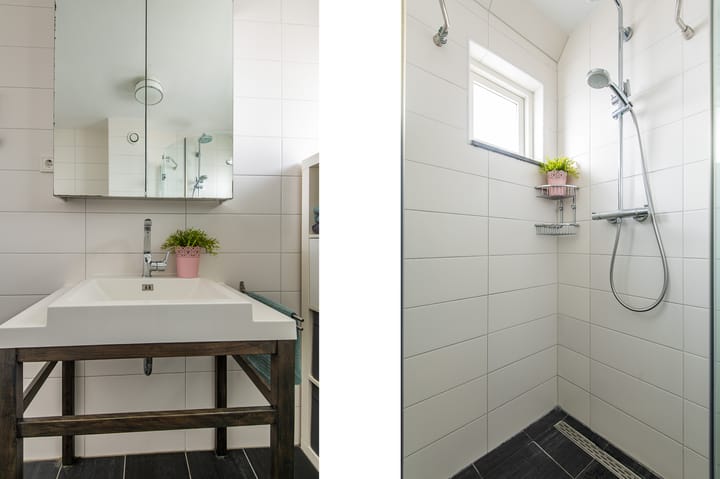 Foto 28 van Kleine Boterbloem 11