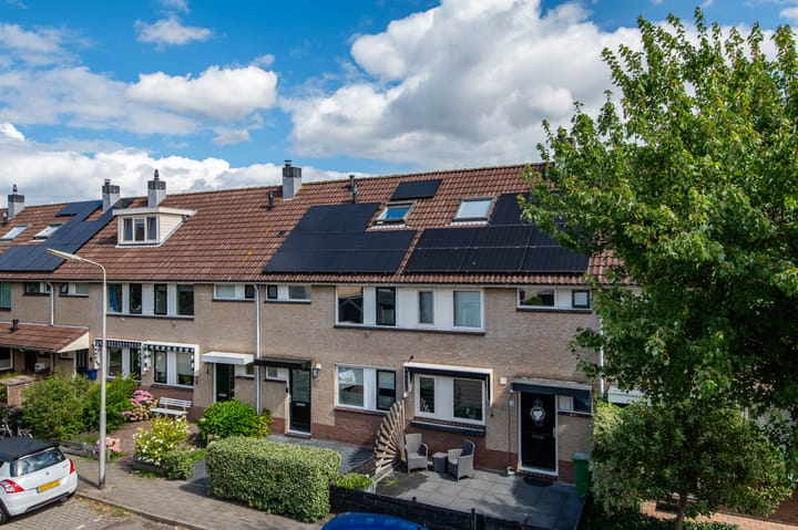 Foto 34 van Kleine Boterbloem 11