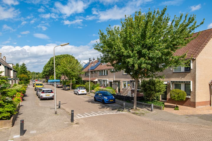 Foto 35 van Kleine Boterbloem 11