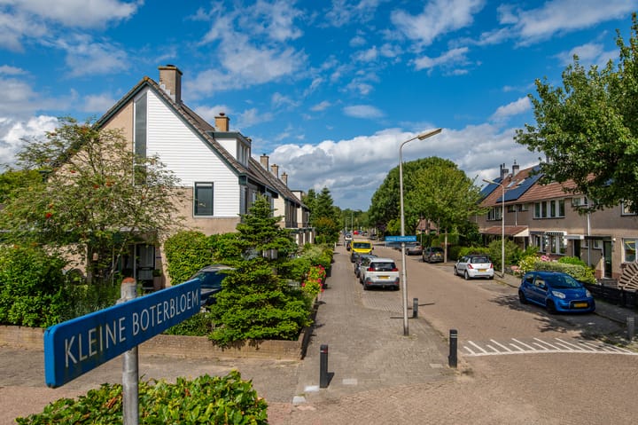 Foto 36 van Kleine Boterbloem 11