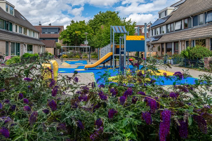 Foto 37 van Kleine Boterbloem 11