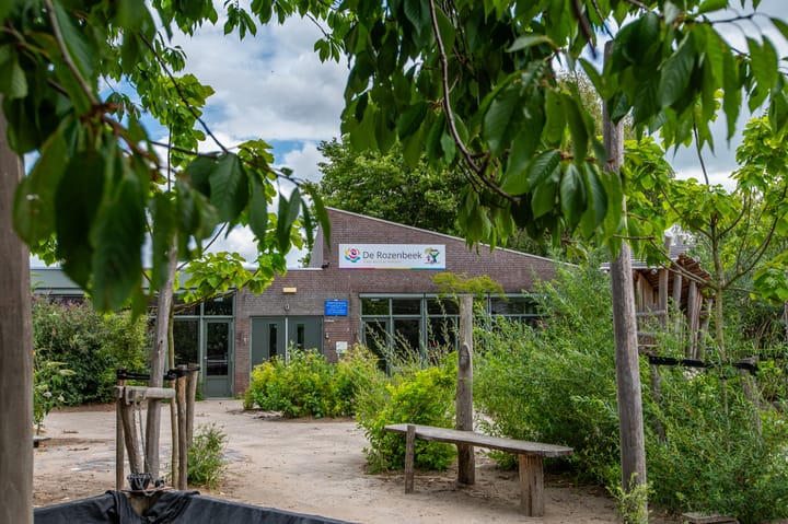 Foto 41 van Kleine Boterbloem 11