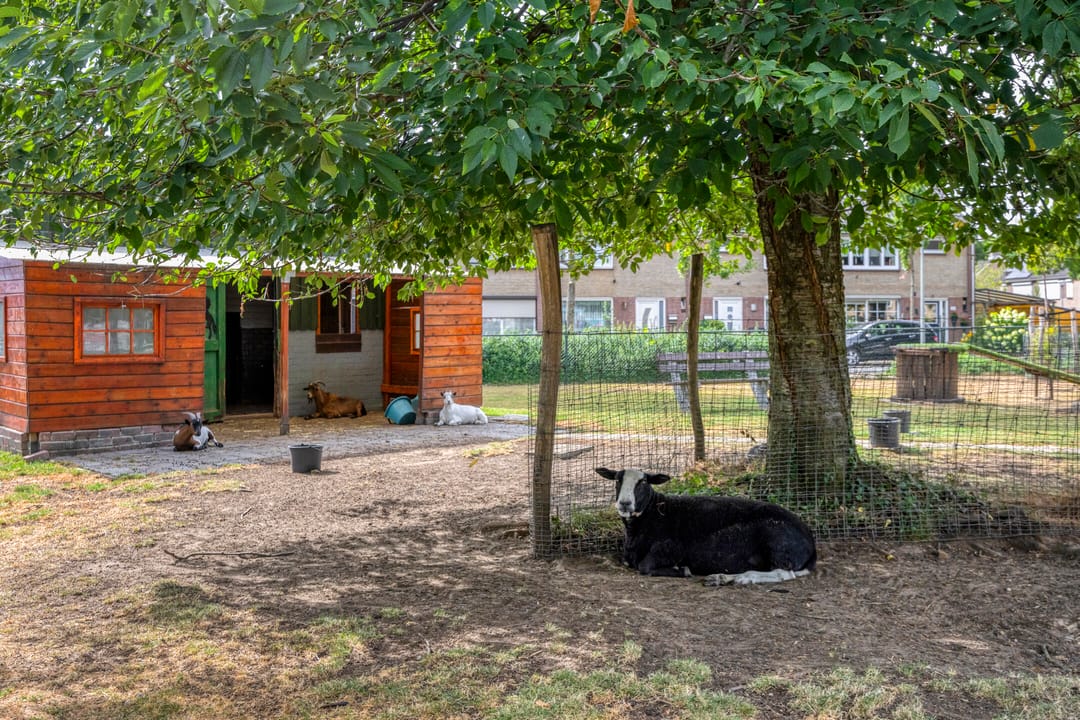 Foto 31 van Terbaansweg 42