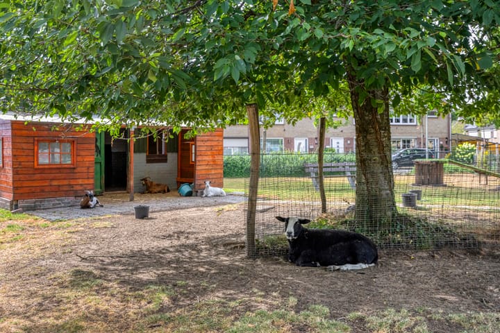 Foto 31 van Terbaansweg 42