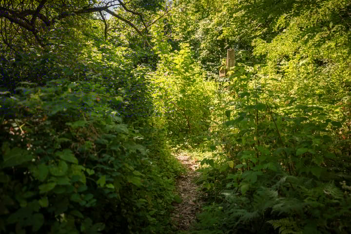 Foto 42 van Lochemseweg 90