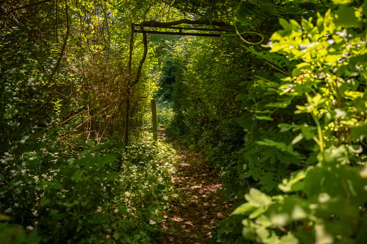 Foto 43 van Lochemseweg 90