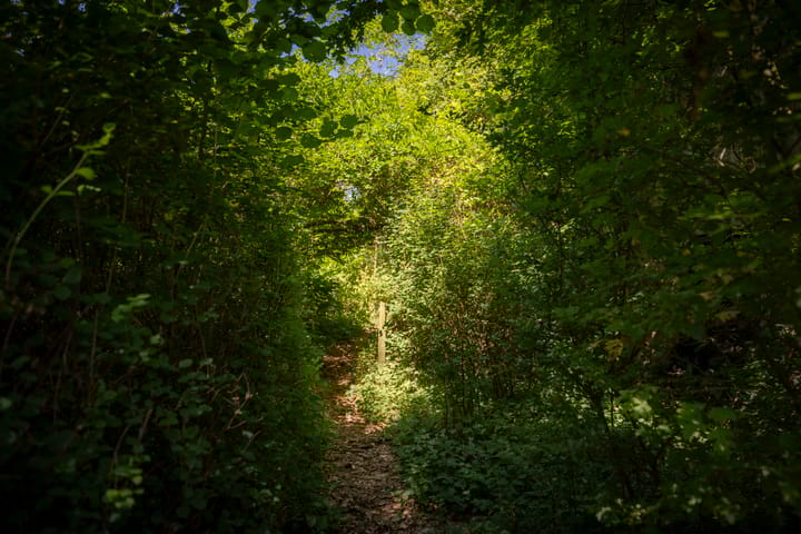 Foto 46 van Lochemseweg 90