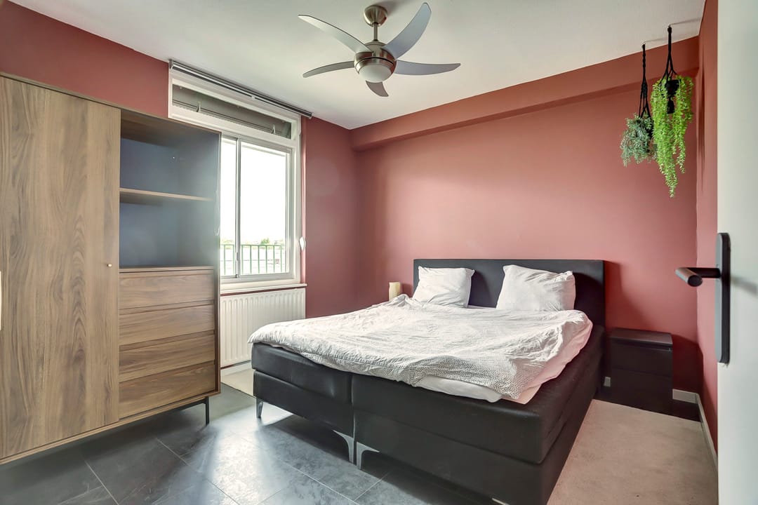 Foto 13 van Wadden 6