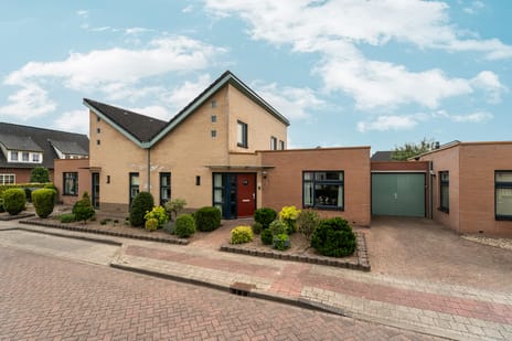 undefined main image