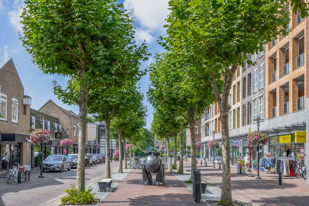 Foto 38 van Heereweg 179-J